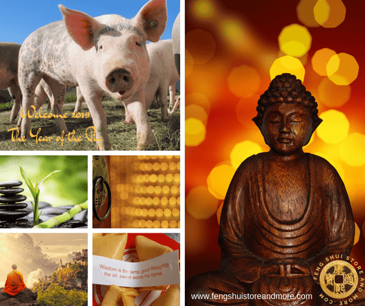 WELCOME YEAR OF THE EARTH PIG