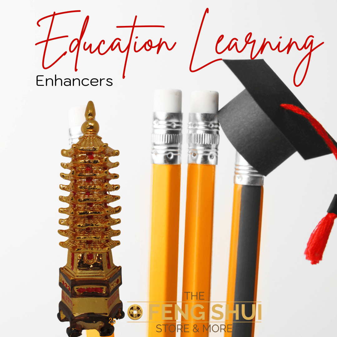 Study & Learning Enhancers