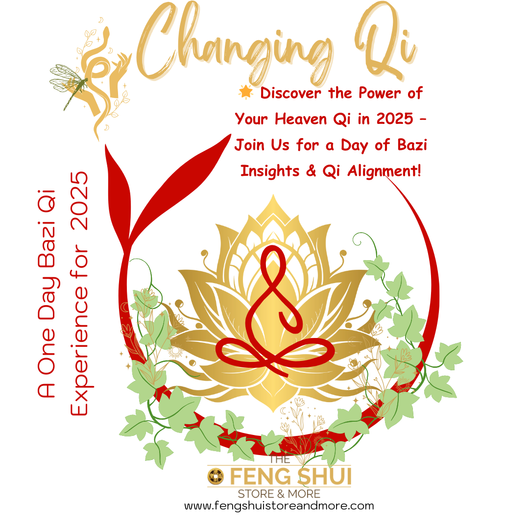 2025 Workshop - đ Discover the Power of Your Heaven Qi in 2025 â A Day of Bazi Insights & Qi Alignment!