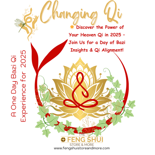 2025 Workshop - π Discover the Power of Your Heaven Qi in 2025 β A Day of Bazi Insights & Qi Alignment!