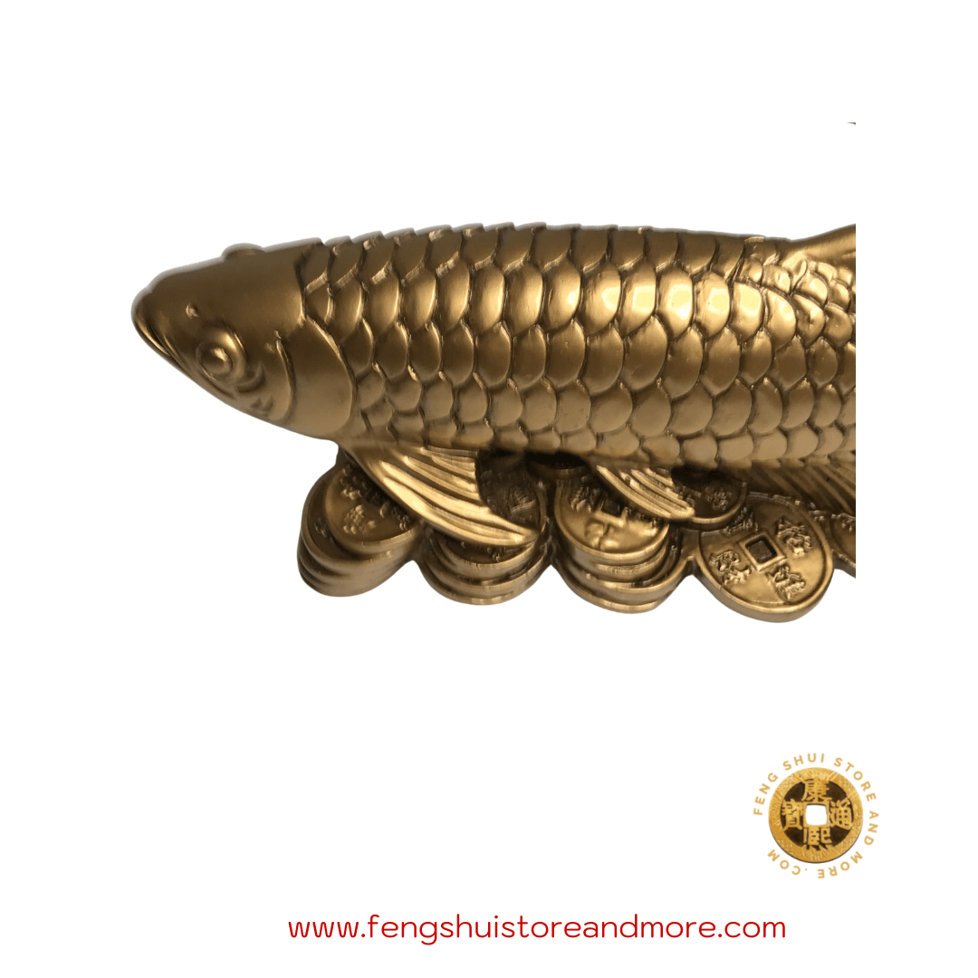 Arowana Fish