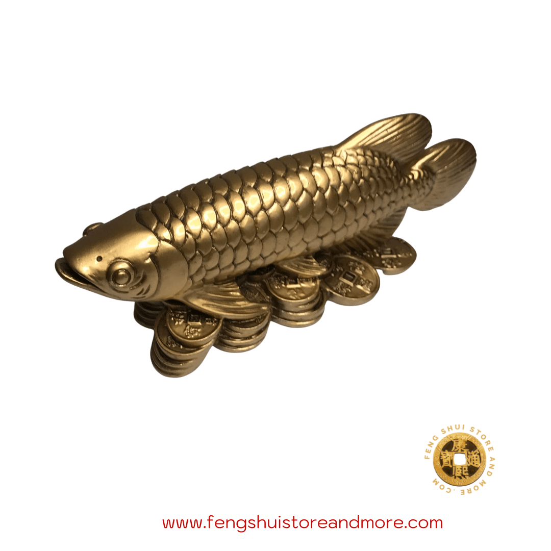 Arowana Fish
