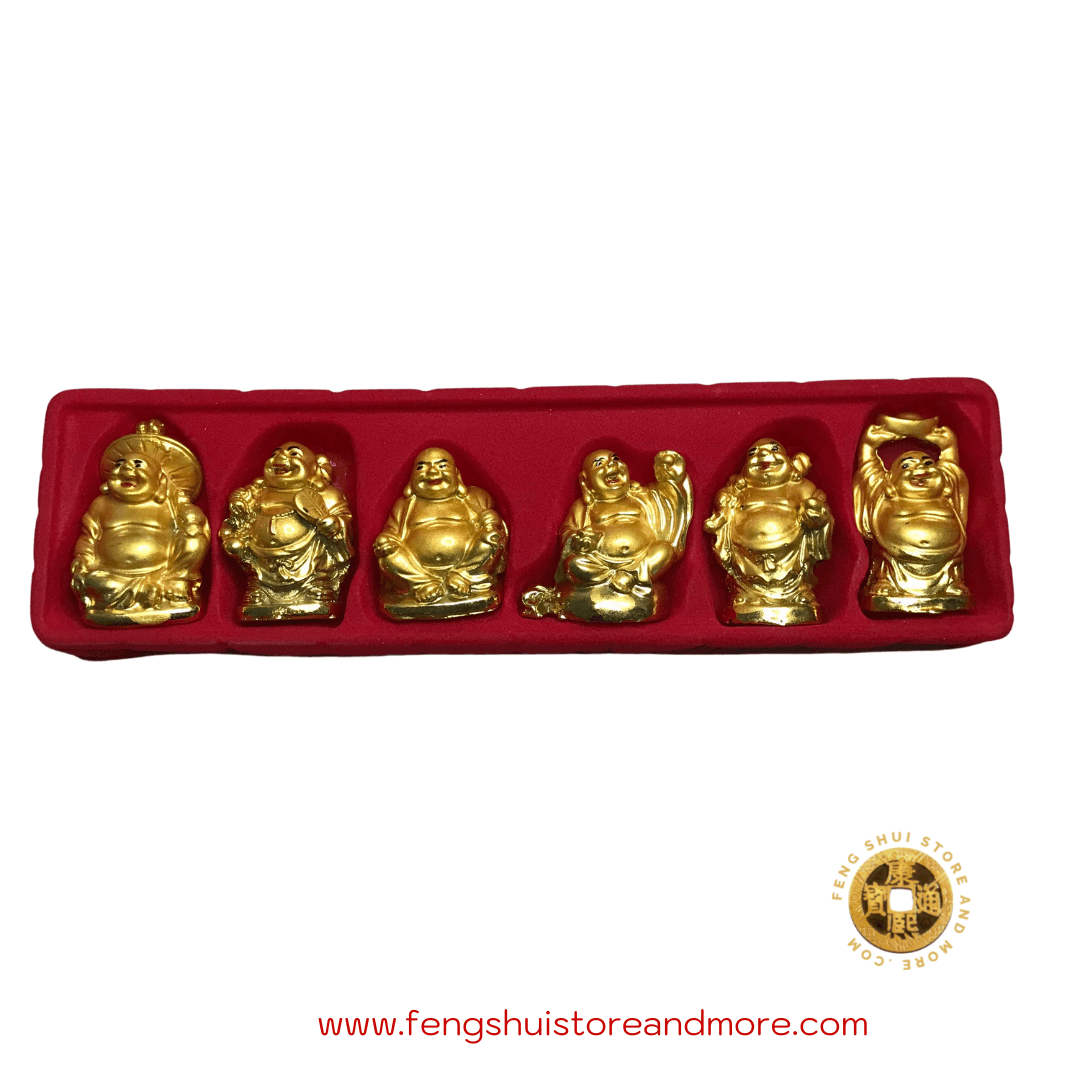 Buddha Mini Box of 6