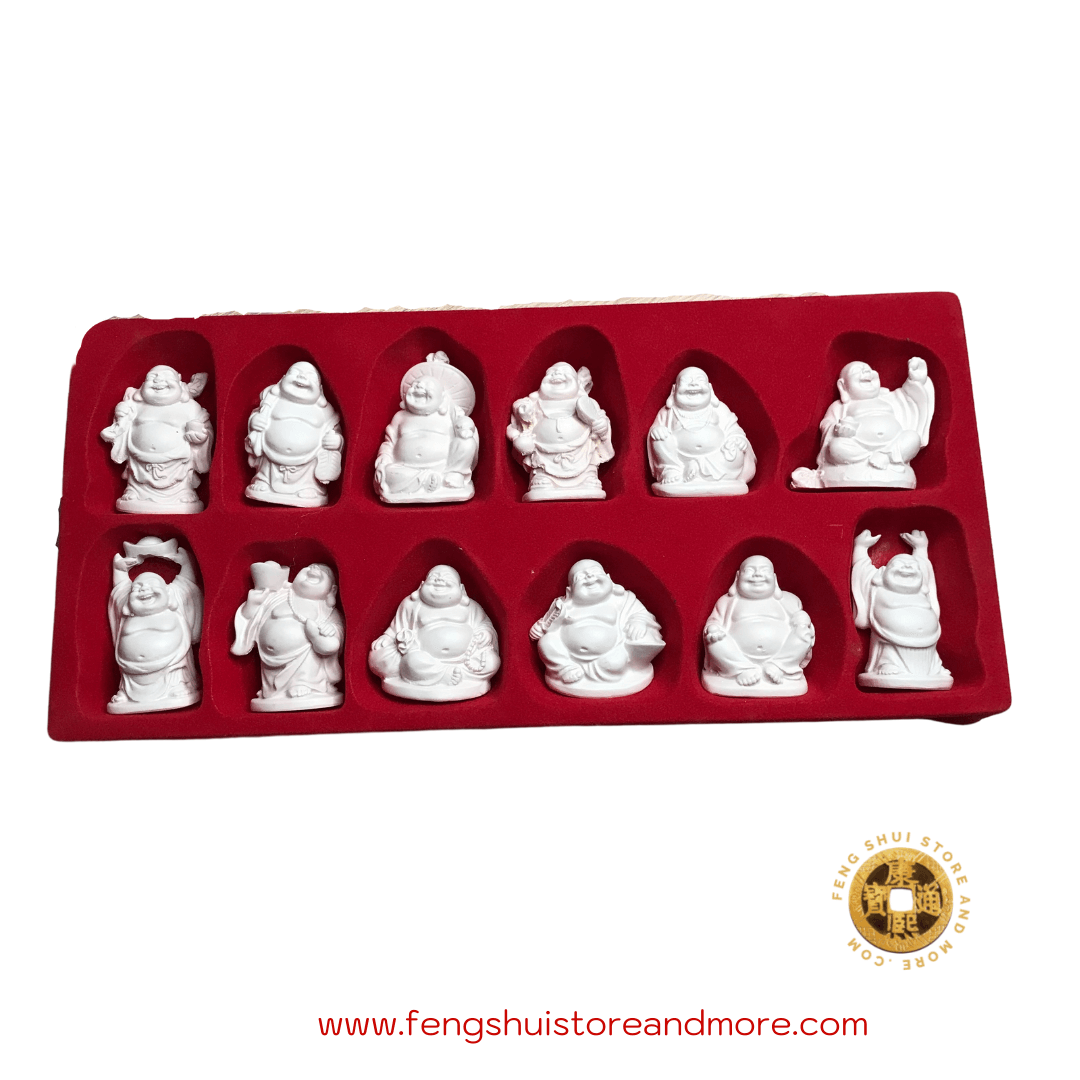 Buddha Mini -Box of 12