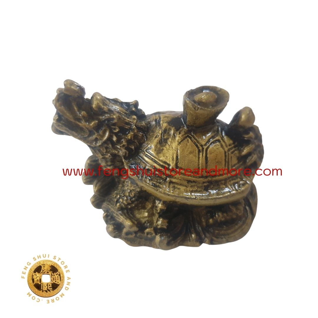 Dragon Tortoise Mini (B)
