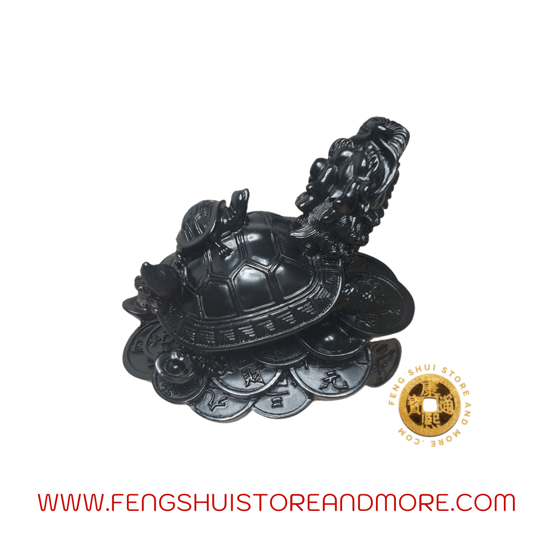 Dragon Tortoise Black