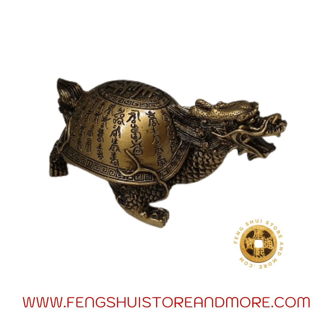 Dragon Tortoise with Chinese Writing