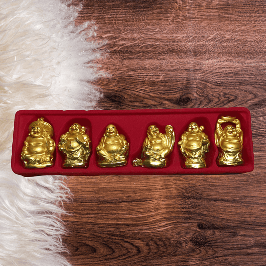 Buddha Mini Box of 6