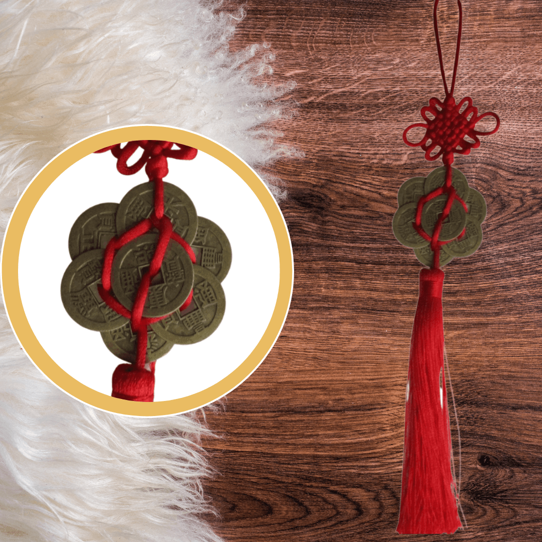 Circle of 8 Coins Hanger