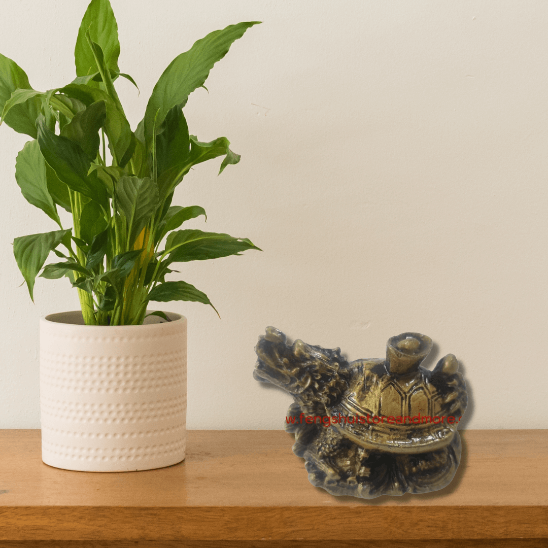 Dragon Tortoise Mini (B)