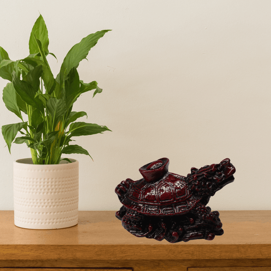 Dragon Tortoise Mini