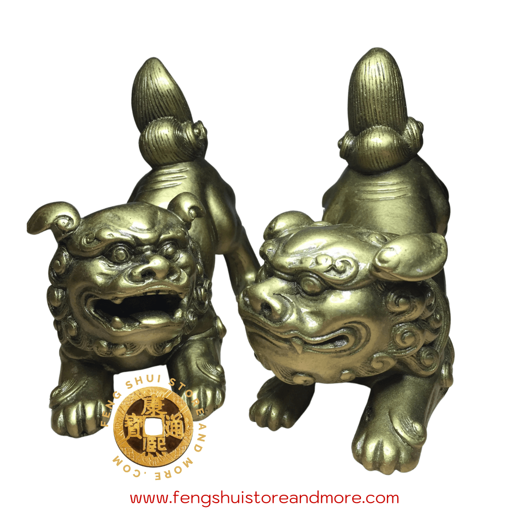 Fu Dogs Set of 2