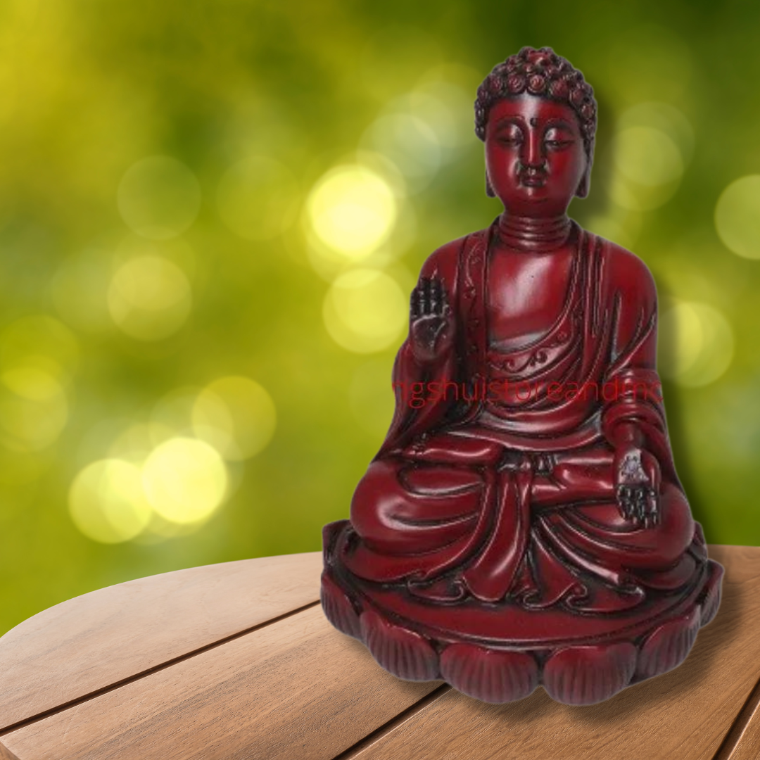 Buddha with Protection Mundra