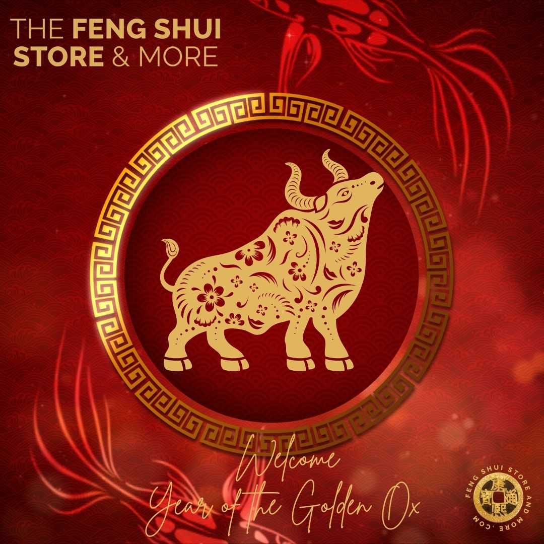 Hello and Welcome to the Year of the Yin Golden Ox 2021