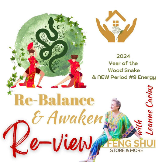 2025 Energy Rebalance & Awaken with Leanne Carius Zoom