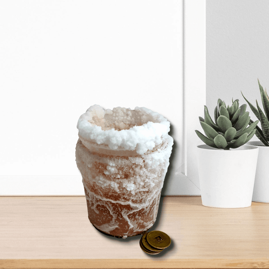 Salt Water Cure Coins (6 Pack)