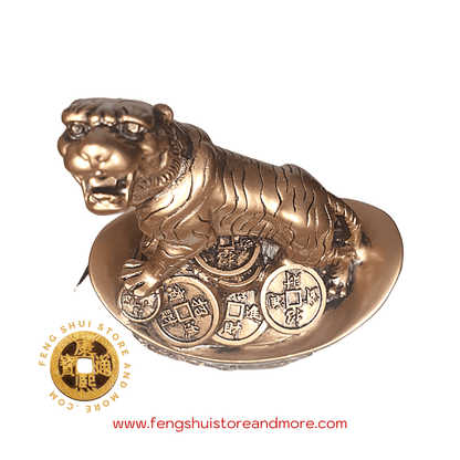 Tiger on Yuan Bao & Coins